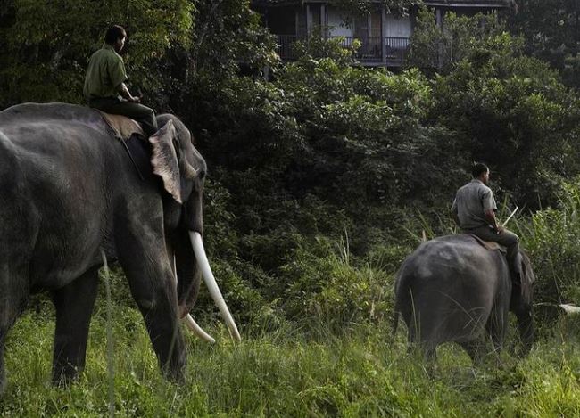 Luxury Travel Adventures in Nepal